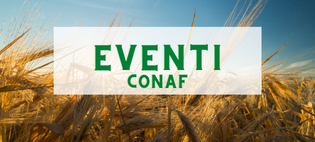 Immagine di copertina del banner ARCHIVIO EVENTI CONAF