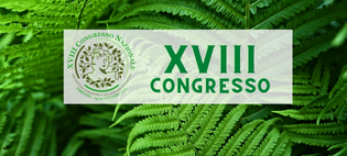 Immagine di copertina del banner XVIII Congresso Nazionale 2022