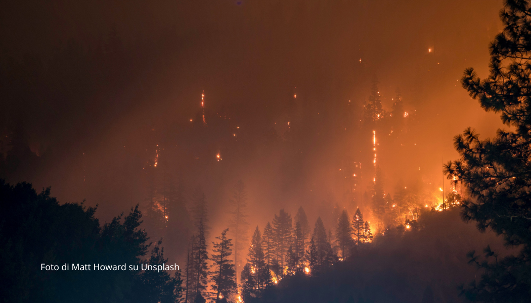 Copertina della pagina LA LOTTA AGLI INCENDI SI FA A FIAMME SPENTE CON LA SELVICOLTURA